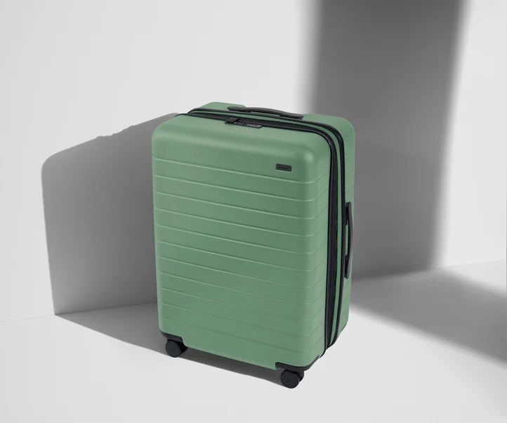 Carry-On The Medium Flex in Sea Green Luggage