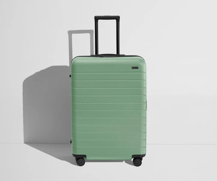 Carry-On The Medium Flex in Sea Green Luggage