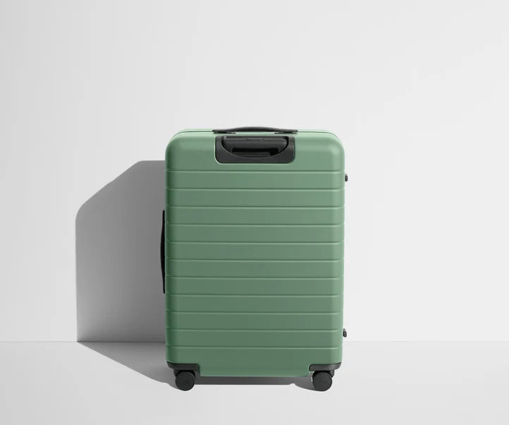 Carry-On The Medium Flex in Sea Green Luggage